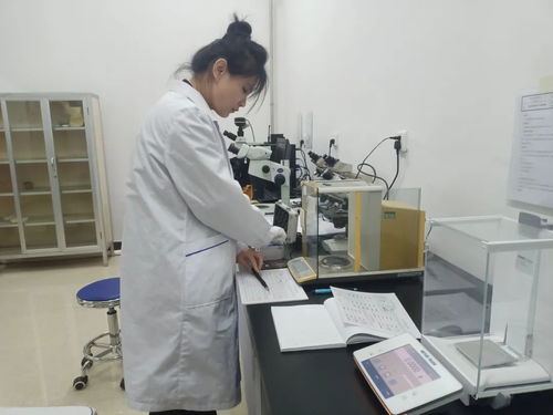 黑龍江省伊春市市場監(jiān)管局舉辦2023年世界計(jì)量日信息技術(shù)咨詢服務(wù)活動(dòng)